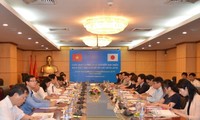 Vietnam, Japan jointly adapt to climate change