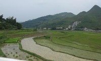 Creating consensus in new rural development in Ha Giang highlands