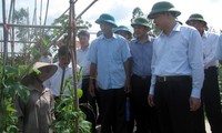 Deputy PM Vu Van Ninh visits Thai Binh