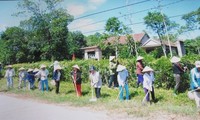 Quang Tri women contribute to local new rural development