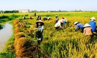 Dong Ha – Ha Giang’s first commune recognized as new-style rural area 