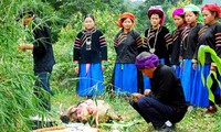 Pu Peo worship of the Forest Genie and forest protection