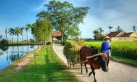 President Truong Tan Sang attends a UN Conference on new rural development 