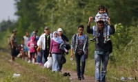 Opportunities and challenges of migrant wave in Europe