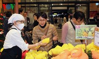 Vietnamese mango promoted in Japan