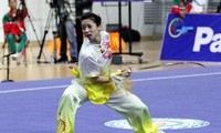 Vi takes silver, bronze at wushu champs