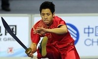 Vietnam win another bronze medal at wushu championships