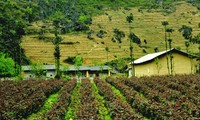 Pho Bang- a peaceful town on Dong Van Karst Plateau