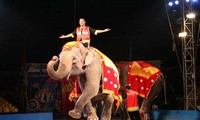 200 performers to compete in Vietnam-Laos-Cambodia circus contest