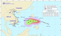 Typhoon Melor causes serious losses for the Philippines 