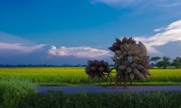 Thu Sy Fish-Pot Making Village