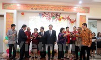 Overseas Vietnamese celebrate traditional Lunar New Year