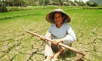 Severe drought forecast for central region in 2016