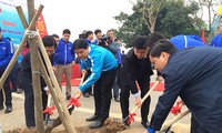 Hanoi Youth Union launches a tree planting festival