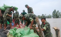 Vietnam participates in ASEAN’s training course on natural disaster rescue