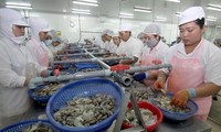 Bac Lieu to host Vietshrimp International Fair 2016 in June