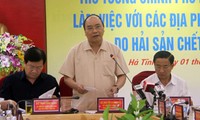 PM Nguyen Xuan Phuc: Resolutely deal with law violators in environmental incident 