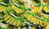 Vietnam’s bananas sold in Japan