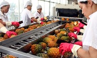 Fruit exports likely to reach over 2 billion USD