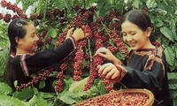 Vietnam Coffee Day