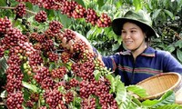 Vietnam Coffee Day to be held in December