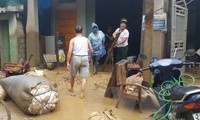 More efforts made to address flood consequences in Lao Cai