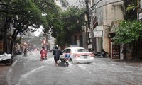 Vietnam recovers damage from Dianmu storm