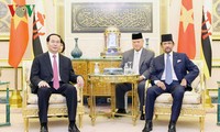 Vietnam, Brunei issue joint statement 