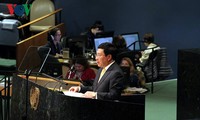 Vietnam supports multilateral solution to peace, cooperation, development