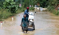 Vietnam responds to International Day for Disaster Reduction