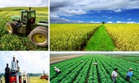 New rural development and agricultural restructuring