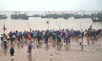 Giao Hai fish market, another attraction of Nam Dinh province