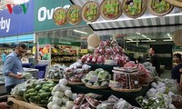 Strengthening Vietnamese foothold in overseas fruit markets