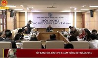 Vietnam Peace Committee sets out tasks for 2017