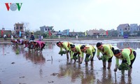 Vice President attends “Going to the fields” festival in Nam Dinh