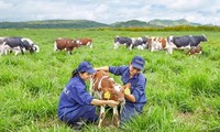 Vinamilk opens first European-standard dairy farm in Vietnam