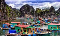 Protecting Ha Long Bay’s aqua resources