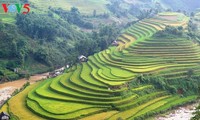 Yen Bai ready for Mu Cang Chai tourism festival