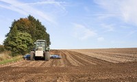 Northern Ireland’s post-Brexit agriculture