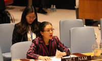 UN Ambassador: Vietnam actively joins UN peacekeeping missions