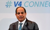 Egypt pledges support for establishment of Palestinian state