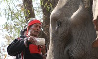 M’nong elephant worship 