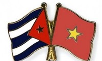 Vietnam keen on fostering traditional solidarity with Cuba: VUFO