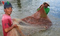 National action program to develop shrimp industry launched