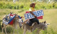 A library on a burro’s back