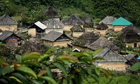 “Mushroom house” of the Black Ha Nhi in Lao Cai