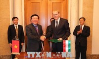 Vietnam, Hungary supreme courts sign MoU