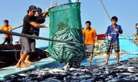 Vietnam works hard to respond to EC’s warning of IUU fishing