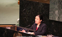 Vietnam nominated to UN Security Council non-permanent membership