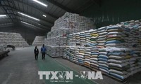 Egypt to import one million tons of rice from Vietnam